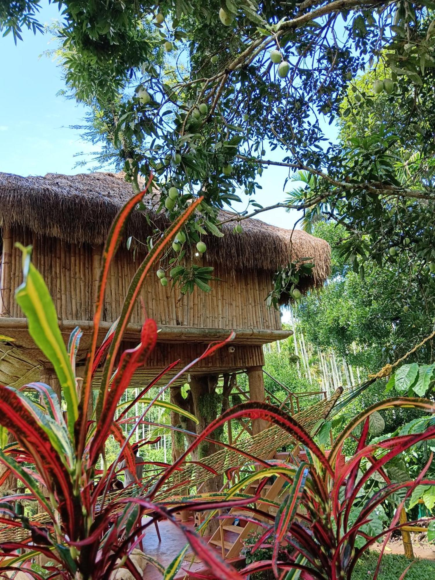 Kalidasa Tree House And Villa, Wayanad Chegat Exterior photo