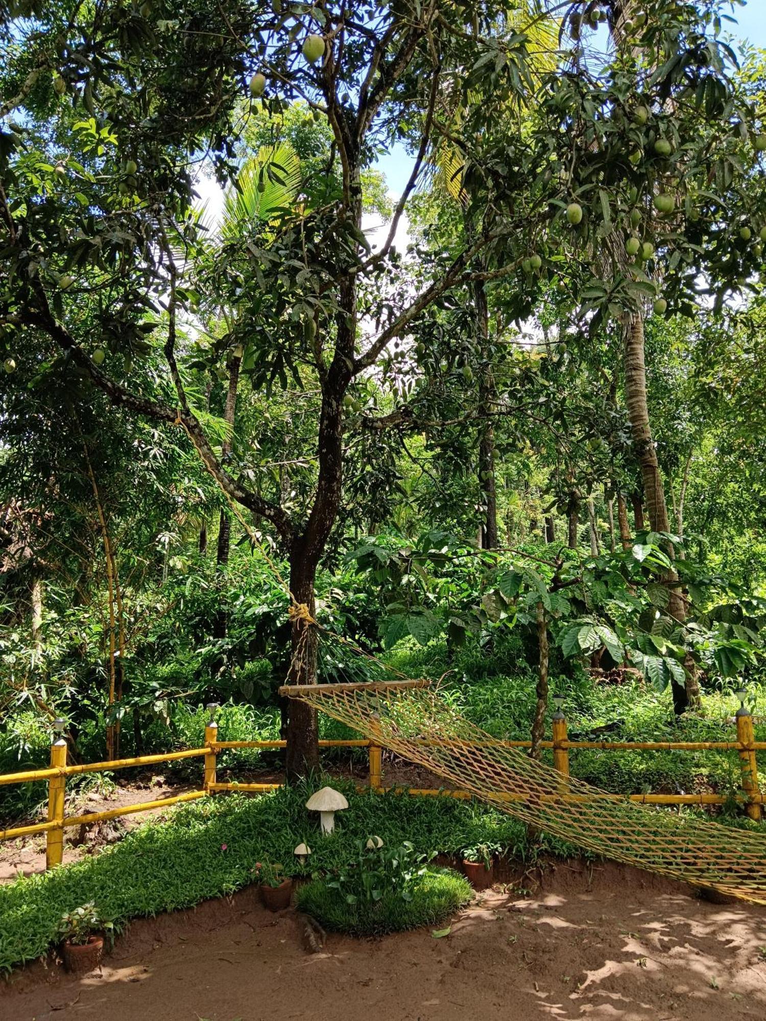 Kalidasa Tree House And Villa, Wayanad Chegat Exterior photo