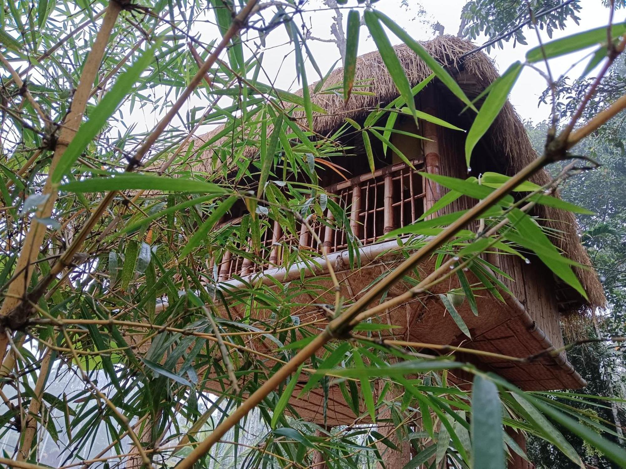 Kalidasa Tree House And Villa, Wayanad Chegat Room photo