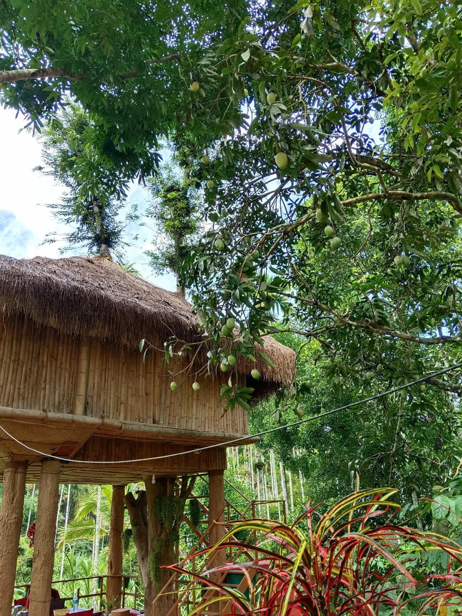 Kalidasa Tree House And Villa, Wayanad Chegat Room photo