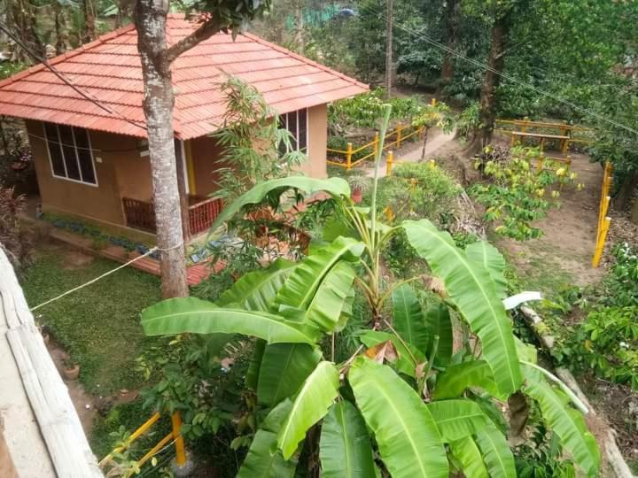 Kalidasa Tree House And Villa, Wayanad Chegat Room photo