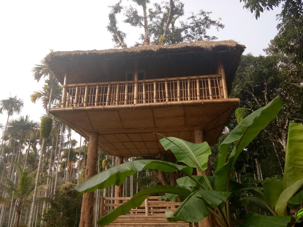 Kalidasa Tree House And Villa, Wayanad Chegat Exterior photo